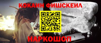 PSILOCYBIN Гатчина