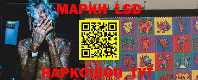 PSILOCYBIN Гатчина