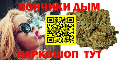 PSILOCYBIN Гатчина