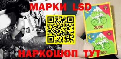 PSILOCYBIN Гатчина